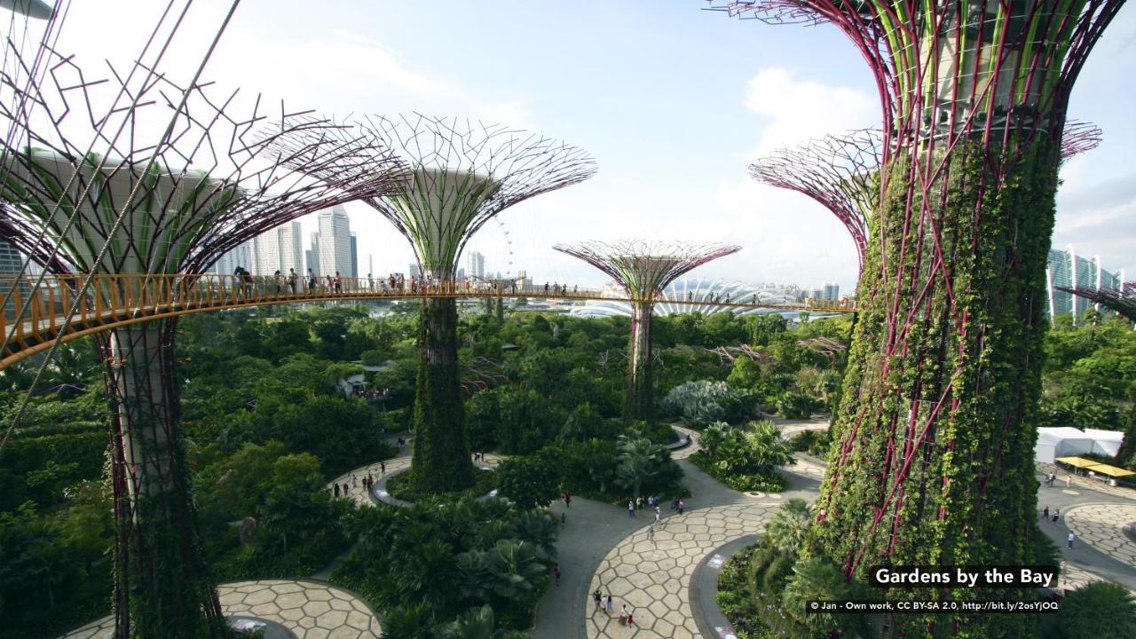 Zen Orchard Hotel Singapur